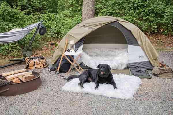 Tent Sites