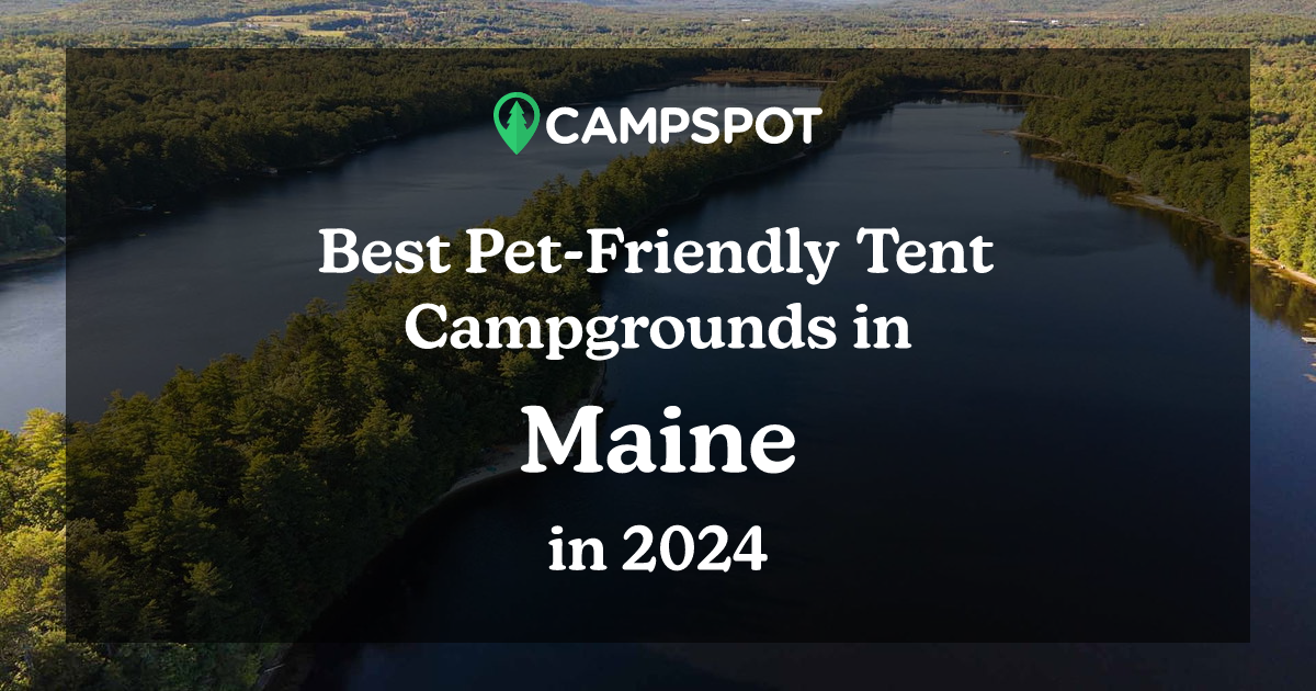 12-cozy-pet-friendly-cabin-rentals-in-pennsylvania-doggy-check-in