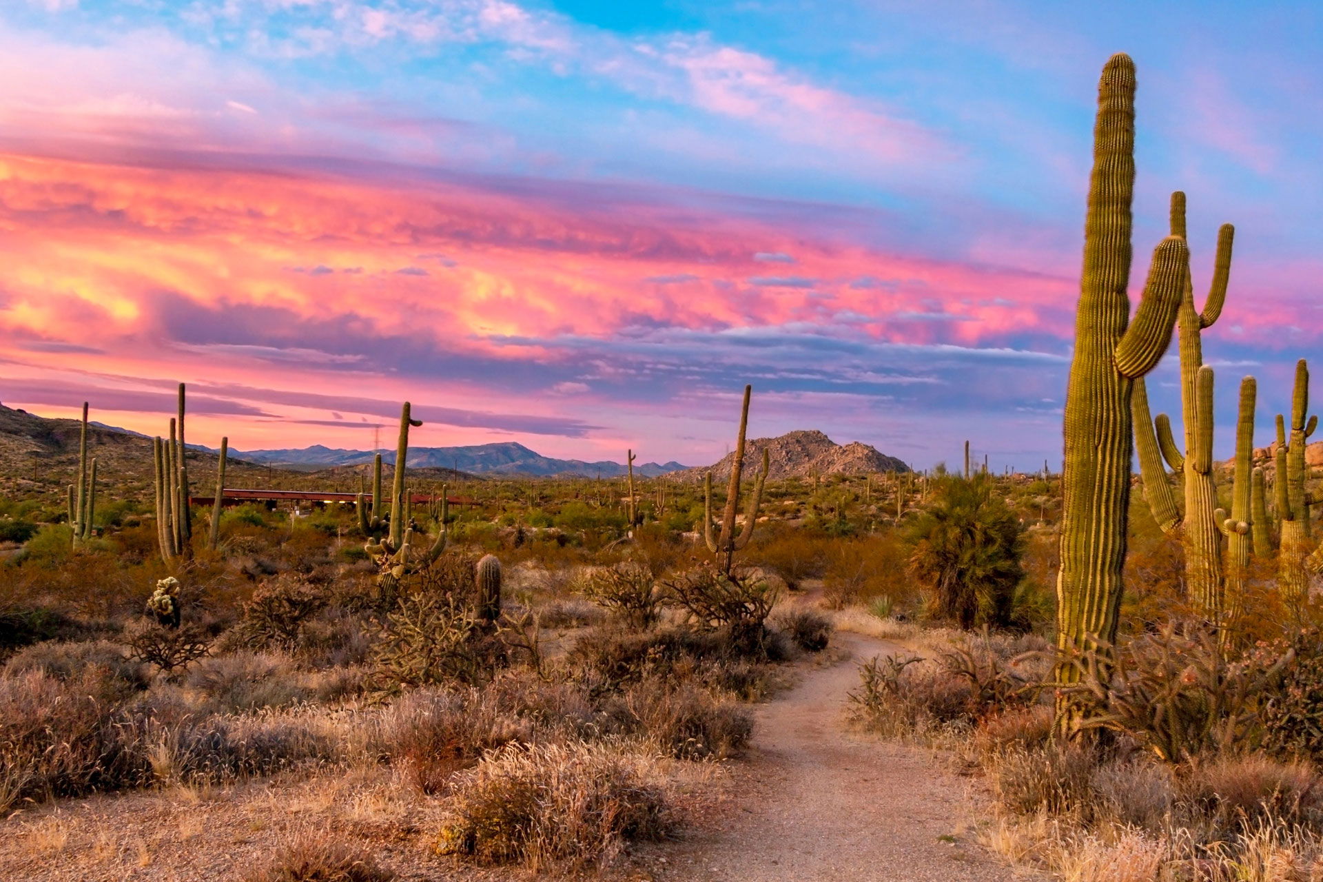 Camping in Phoenix, AZ: 10 Best Campgrounds in 2024 - Campspot