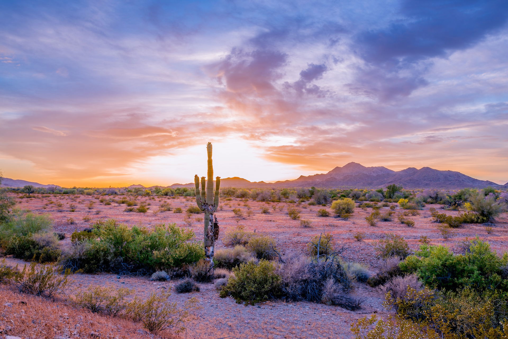 Top RV Parks in Quartzsite, Arizona