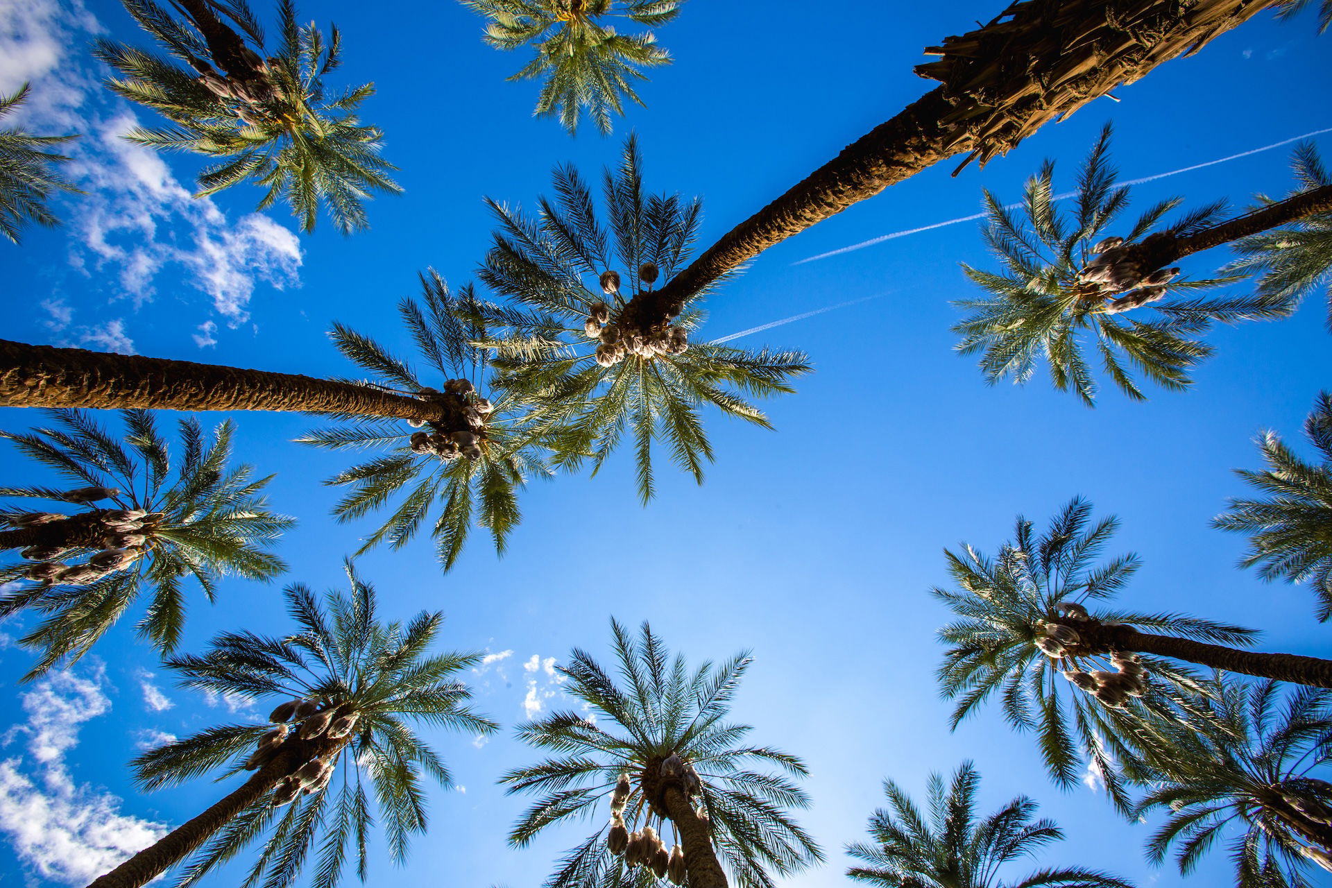 Top RV Parks in Coachella, California