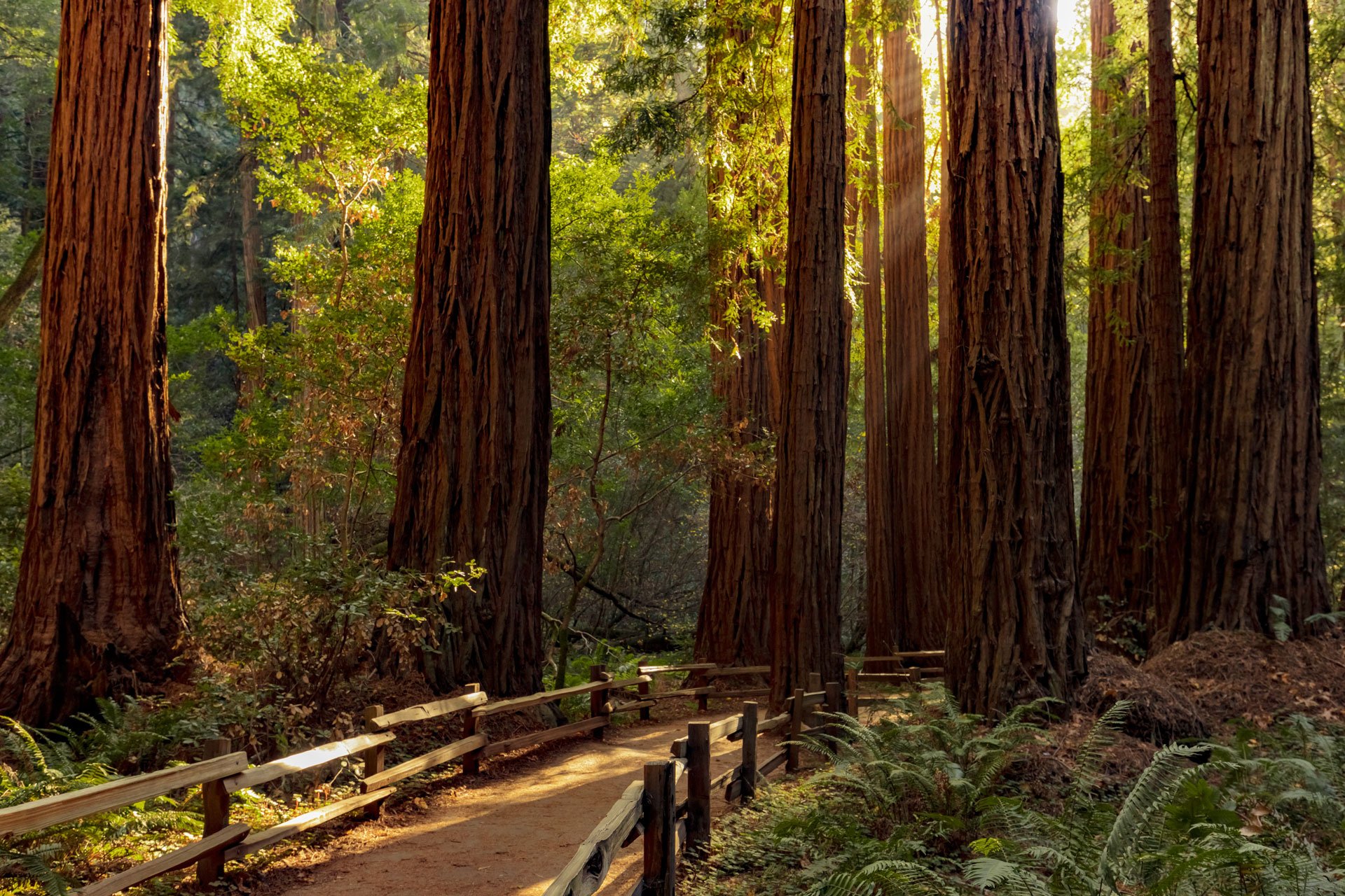 Top RV Parks in Redwood National Park, California