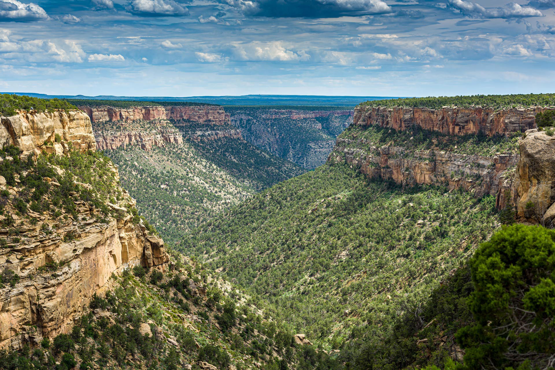 Mesa Verde National Park