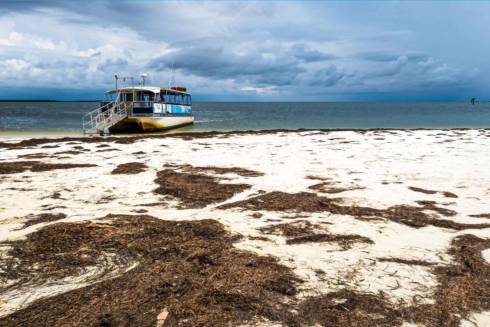 Top Tent Campgrounds in Anclote Key Preserve State Park, Florida