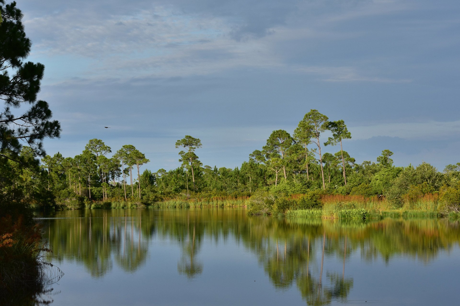 Top RV Parks in Big Lagoon State Park, Florida