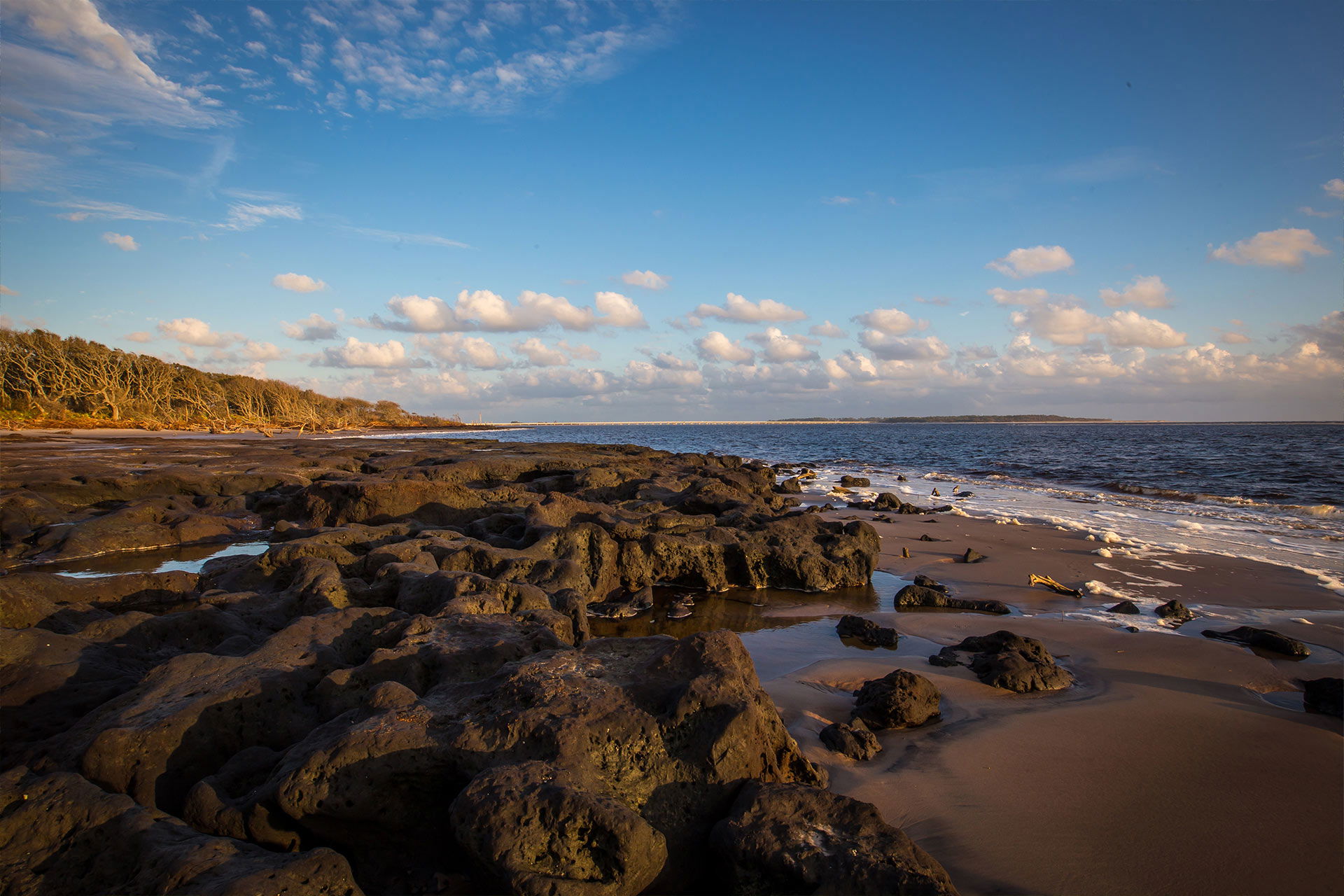 Top Campgrounds in Big Talbot Island State Park, Florida