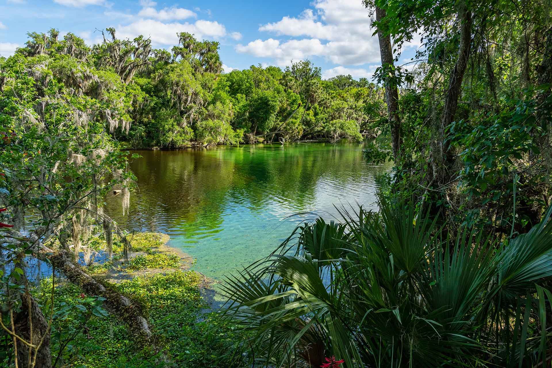 Top RV Parks in Blue Springs State Park, Florida