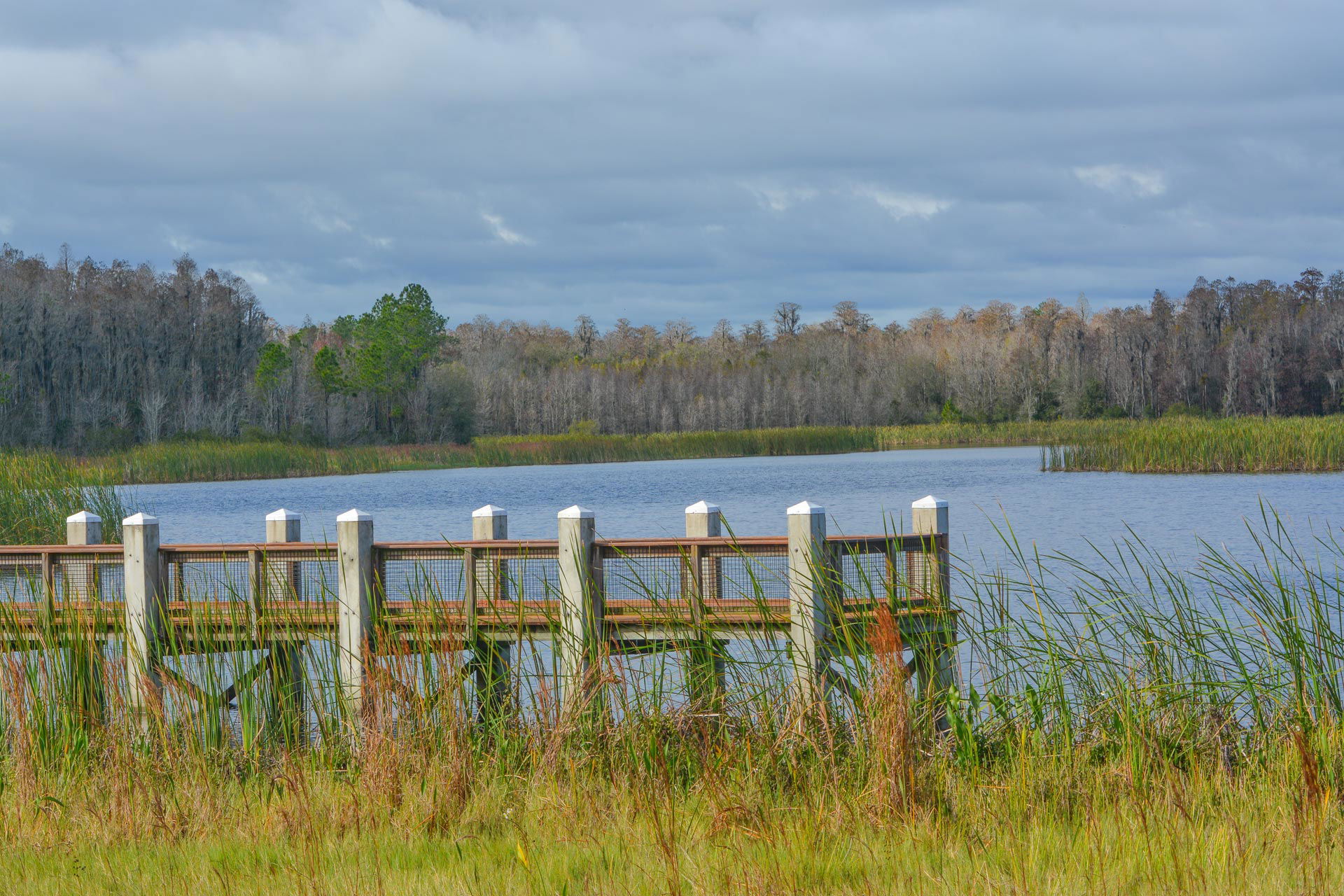 Colt Creek State Park