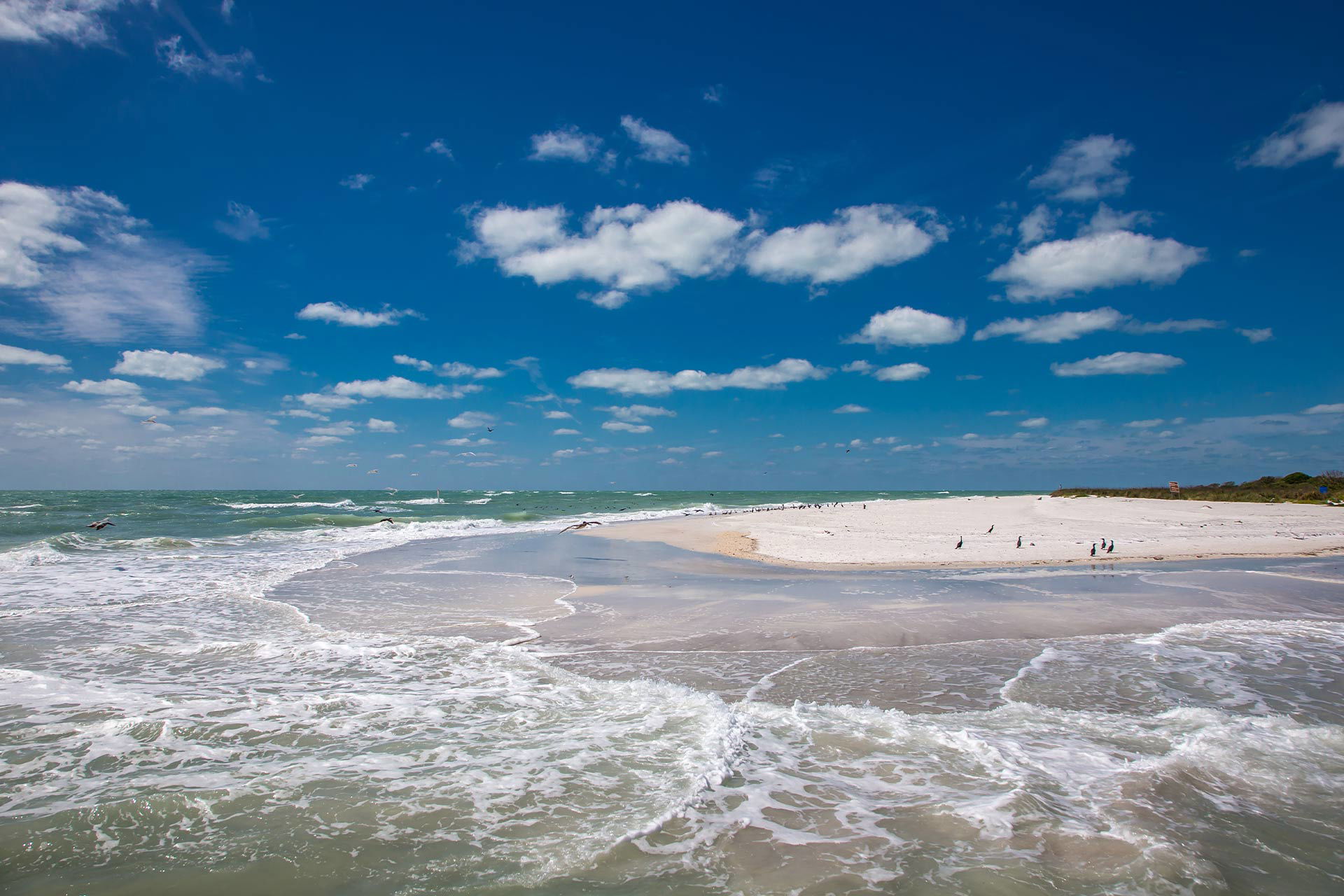 Top RV Parks in Egmont Key State Park, Florida