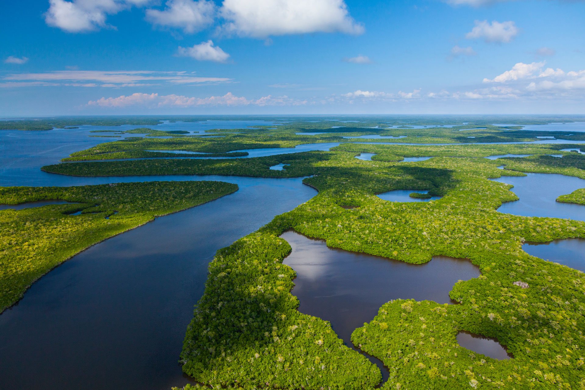Top RV Parks in Everglades National Park, Florida