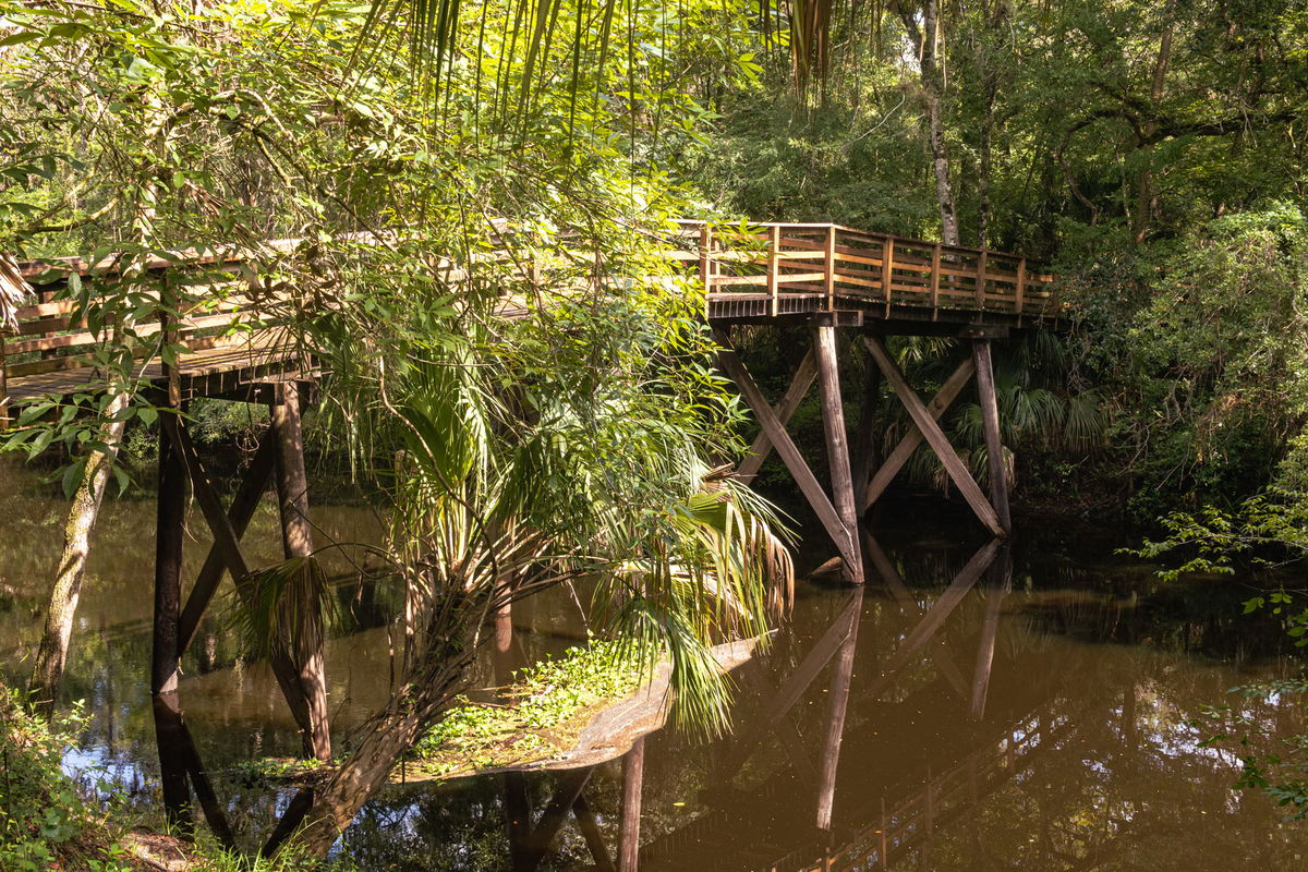 Camping in Florida: 10 Best Campgrounds in Florida in 2024 - Campspot