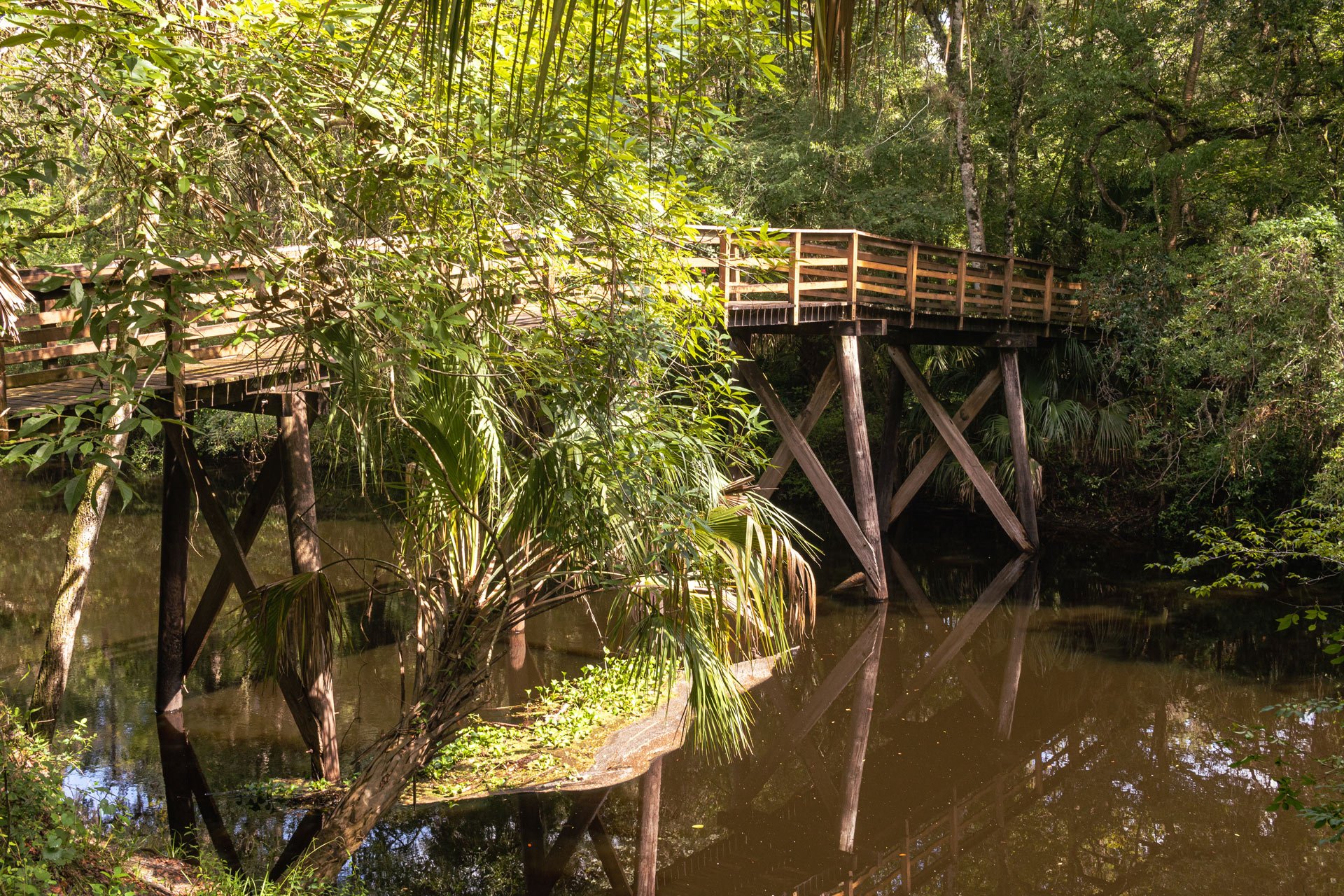 Top RV Parks in Hillsborough River State Park, Florida
