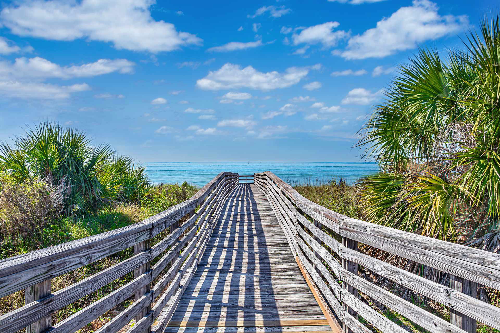 Top Tent Campgrounds in Honeymoon Island State Park, Florida