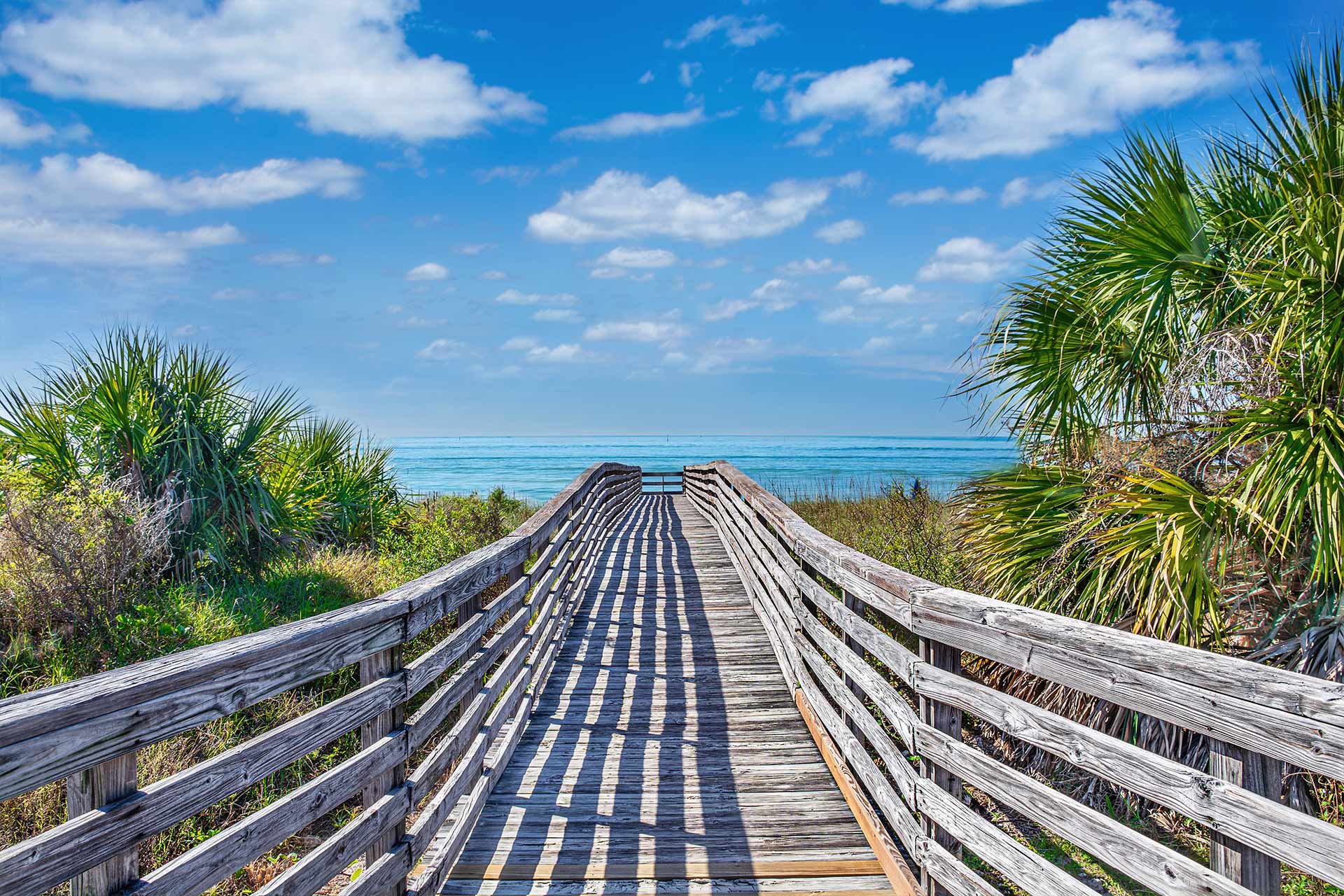 Top RV Parks in Honeymoon Island State Park, Florida