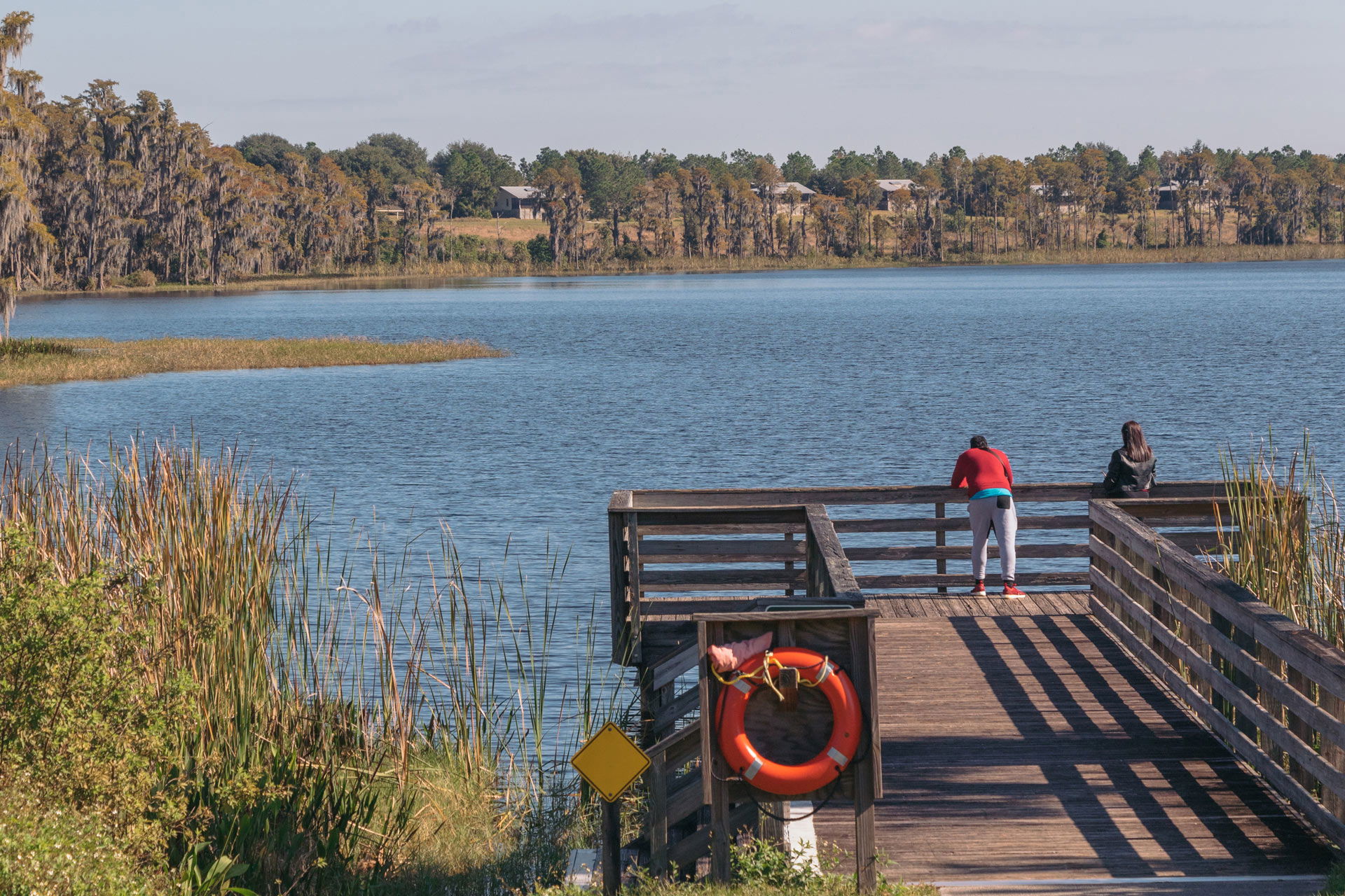 Top RV Parks in Lake Louisa State Park, Florida