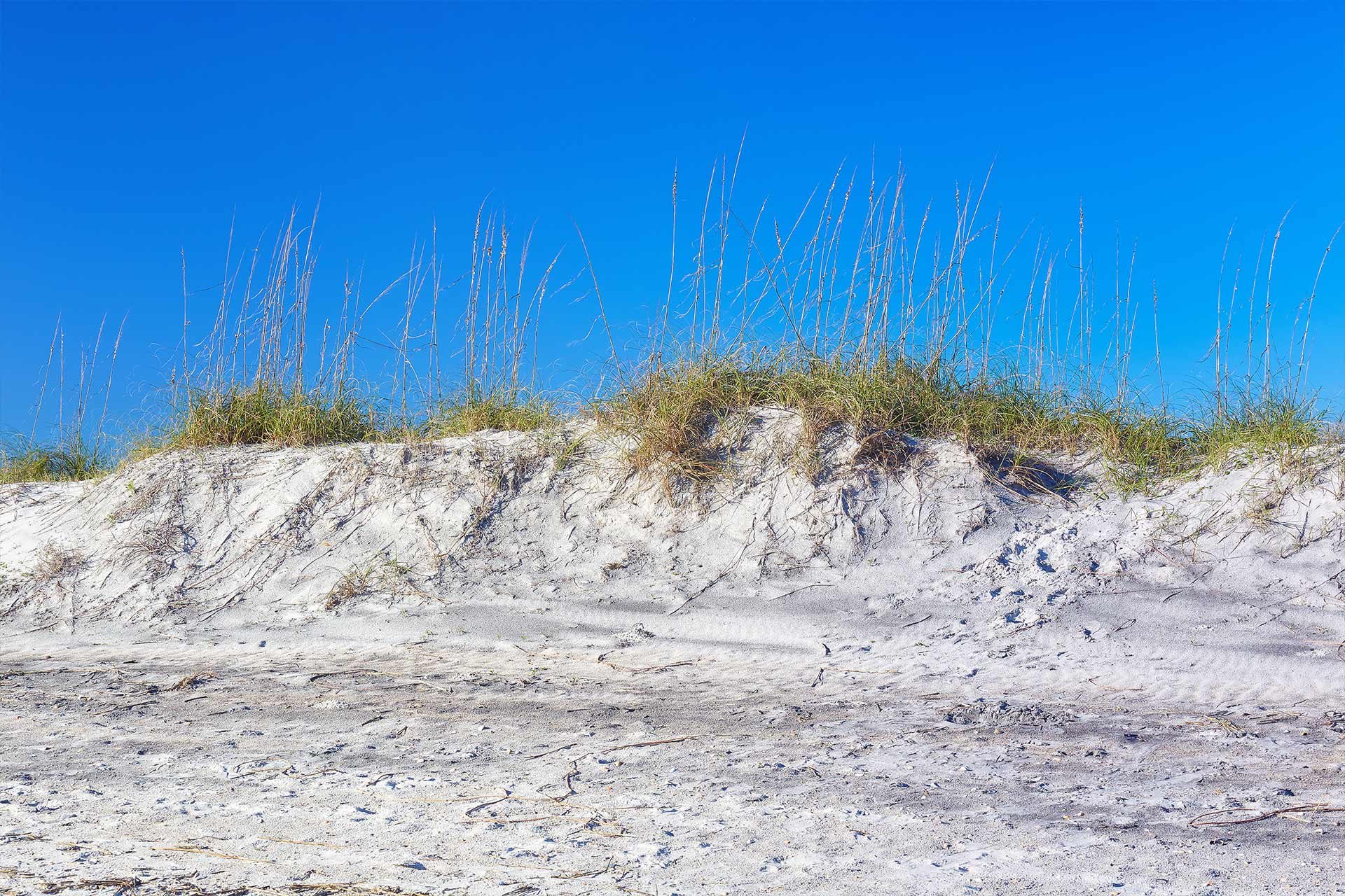 Top RV Parks in Little Talbot Island State Park, Florida
