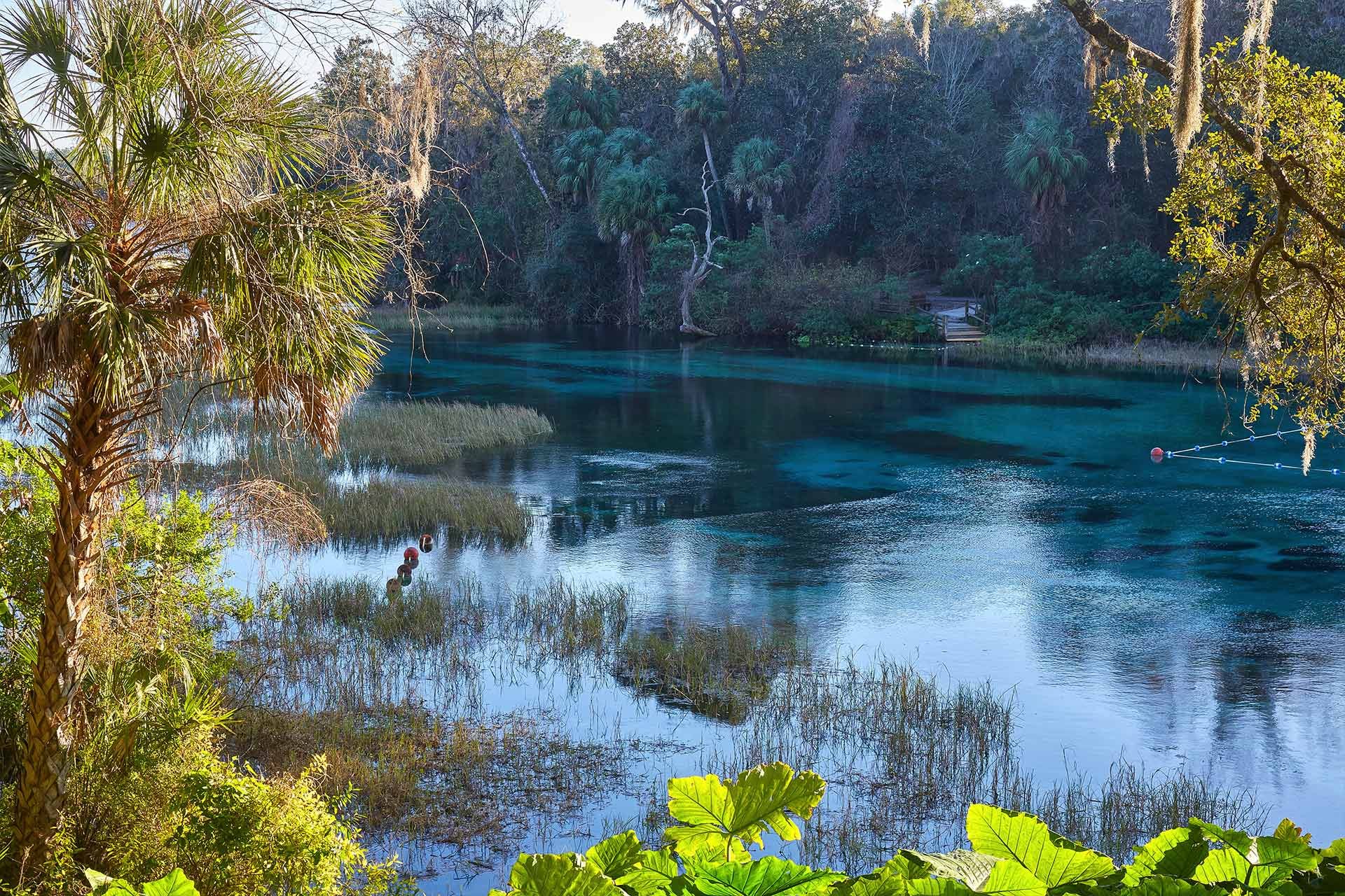 Top RV Parks in Rainbow Springs State Park, Florida