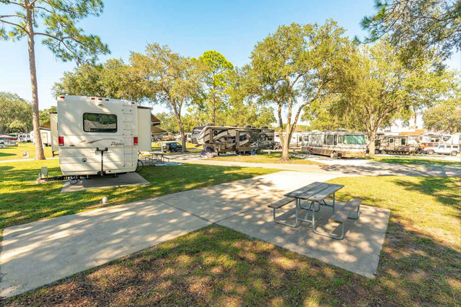 Top Tent Campgrounds in Ybor City Museum State Park, Florida