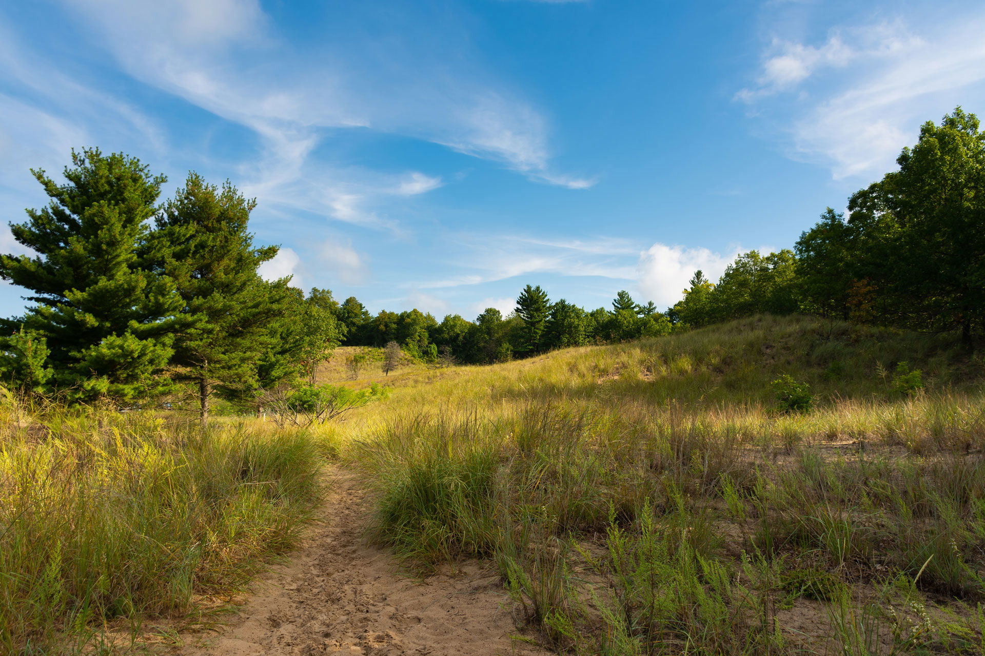 Top RV Parks in Indiana Dunes National Park, Indiana