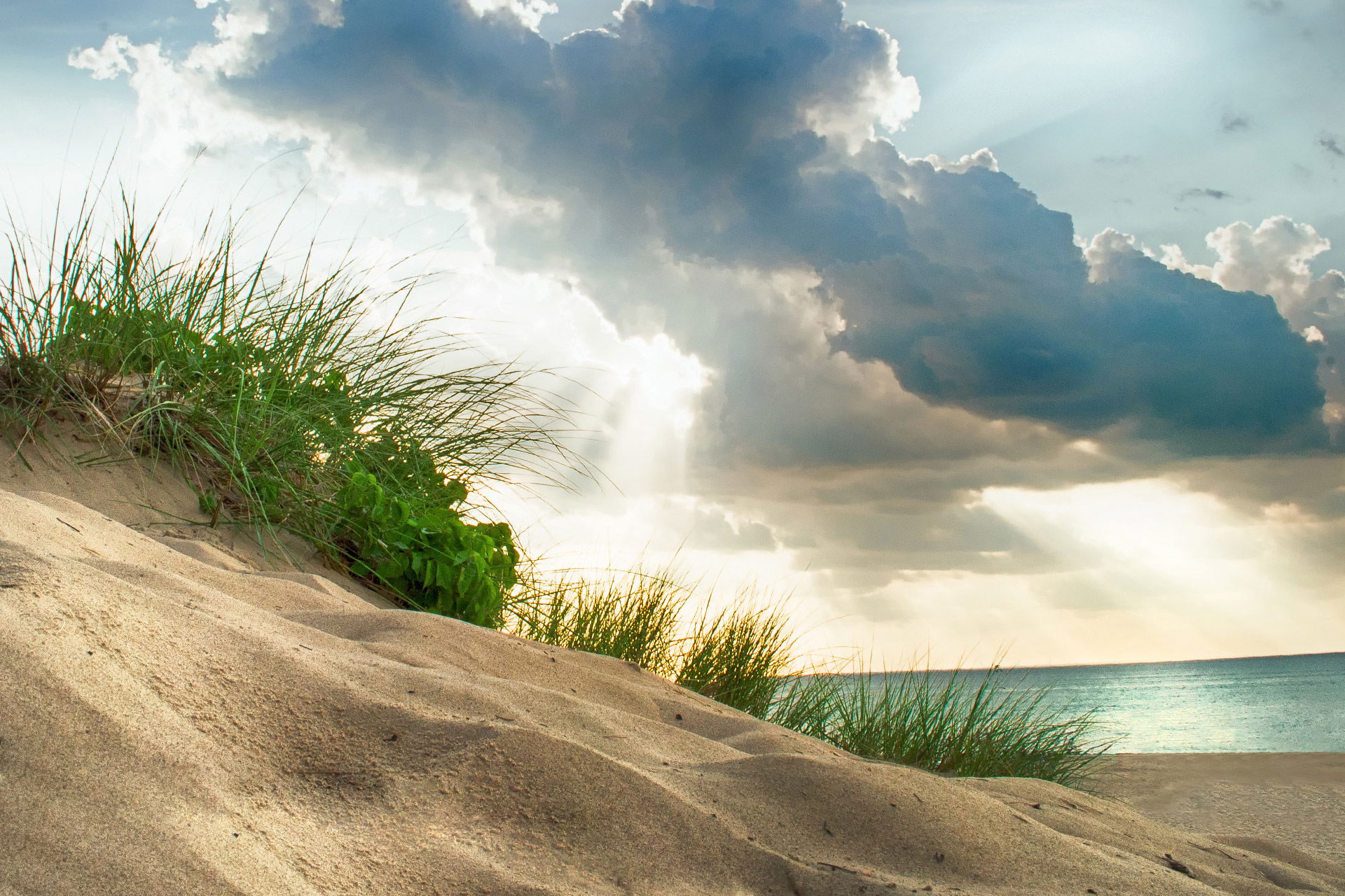 Top Campgrounds in Indiana Dunes State Park, Indiana