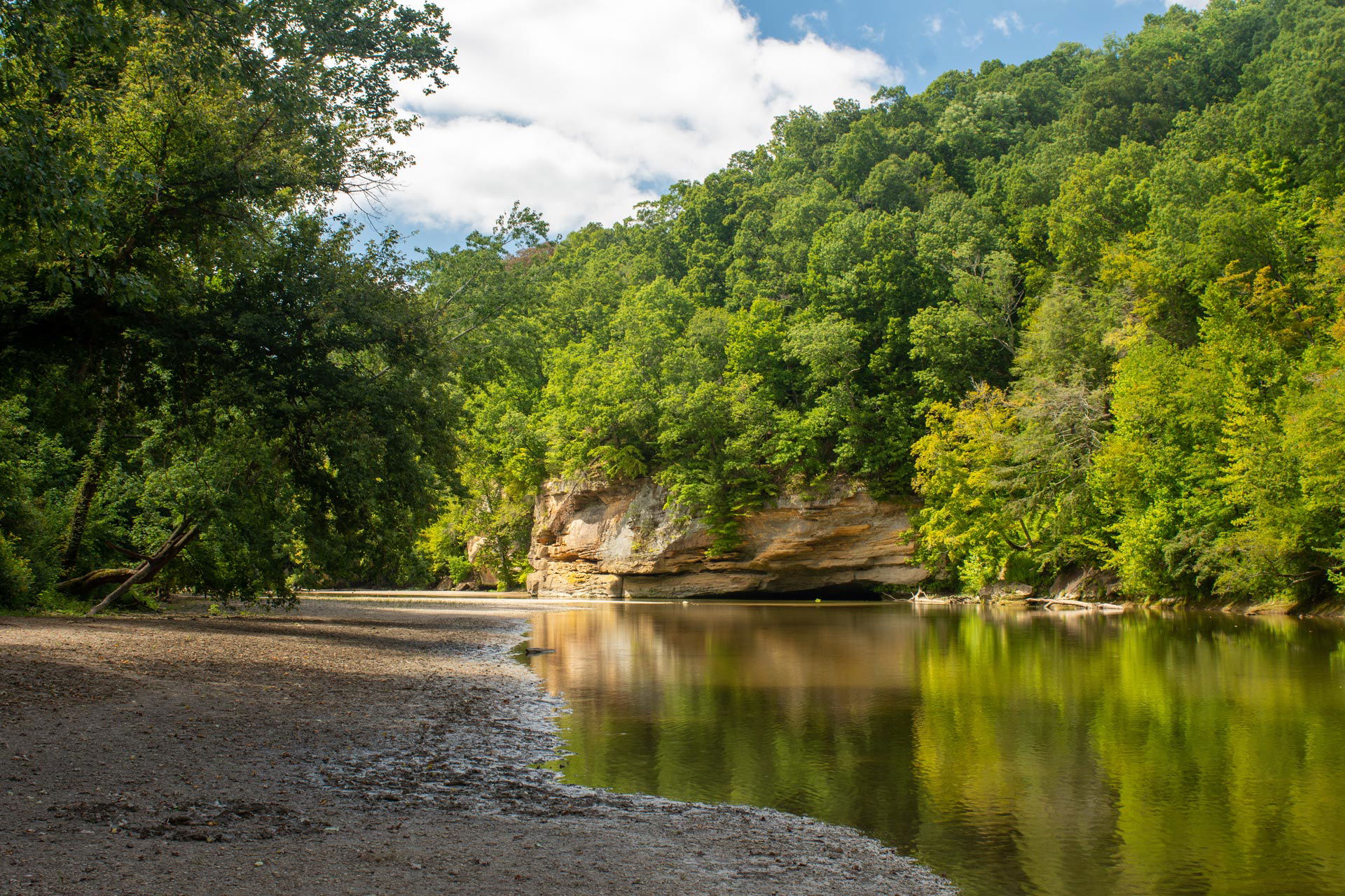 Turkey Run State Park