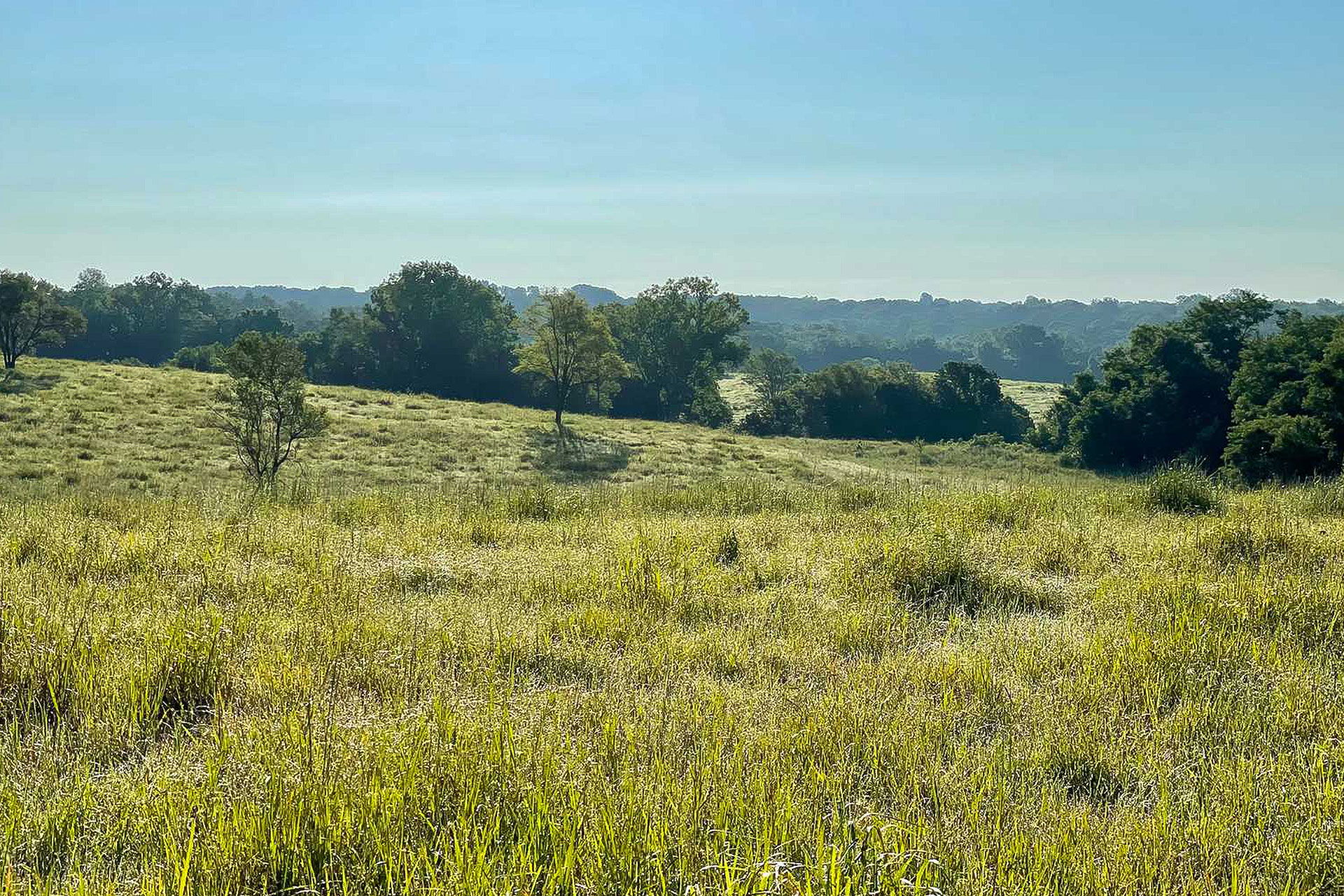 Top Tent Campgrounds in Milford State Park, Kansas