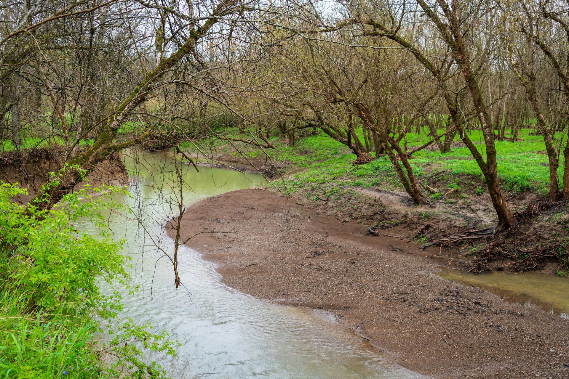 Big Bone Lick State Historic Site