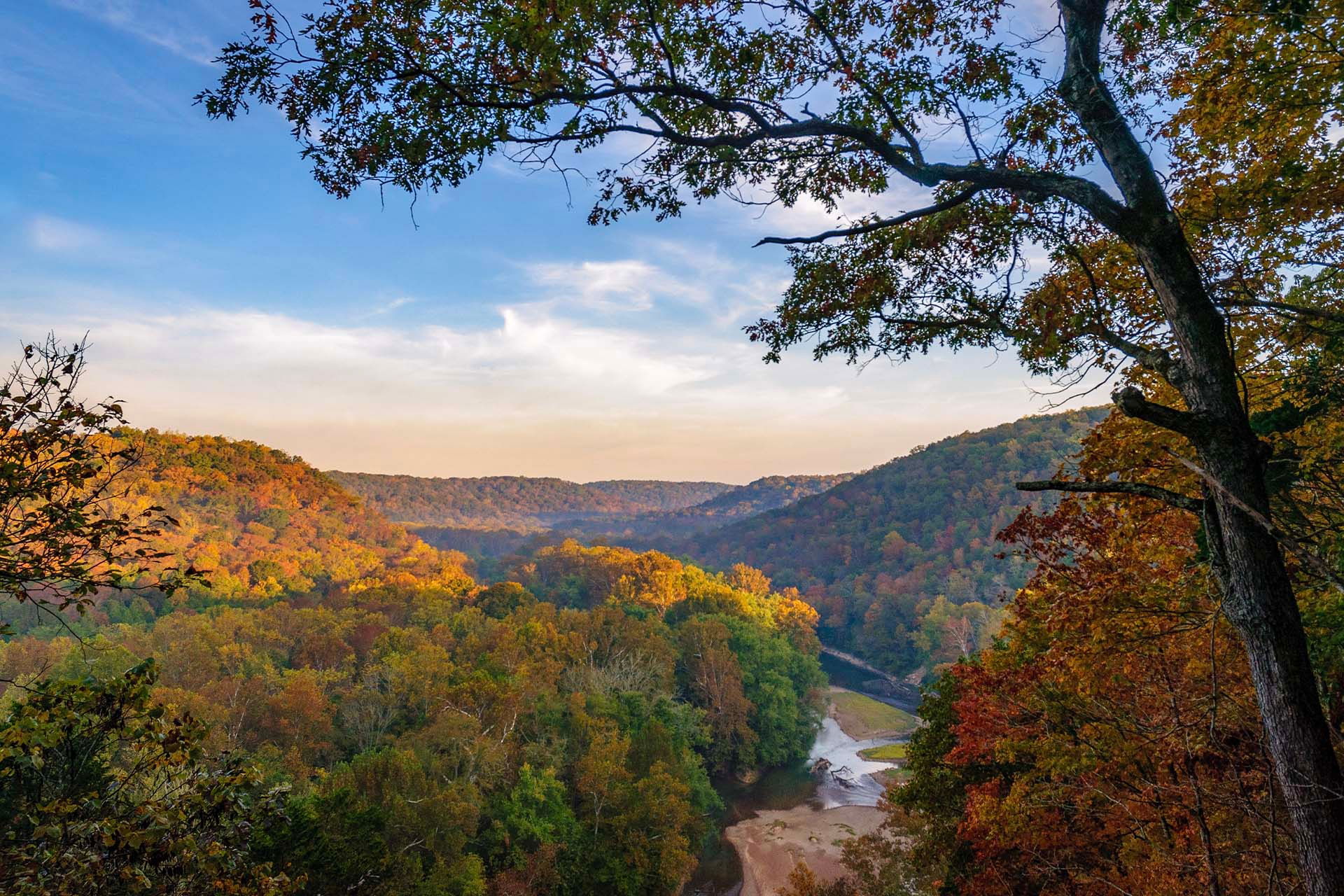 Mammoth Cave National Park