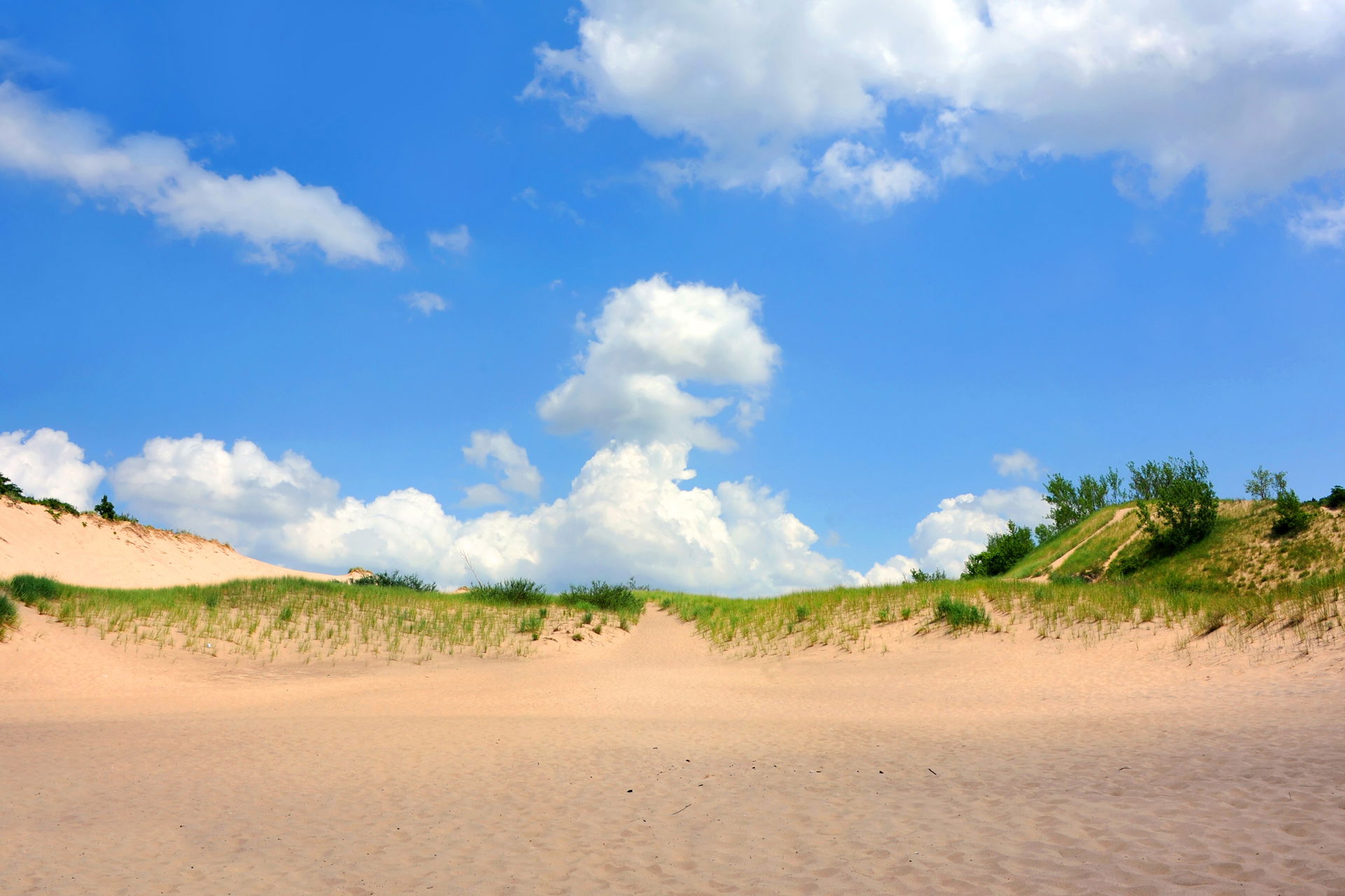 Top Tent Campgrounds in Warren Dunes State Park, Michigan