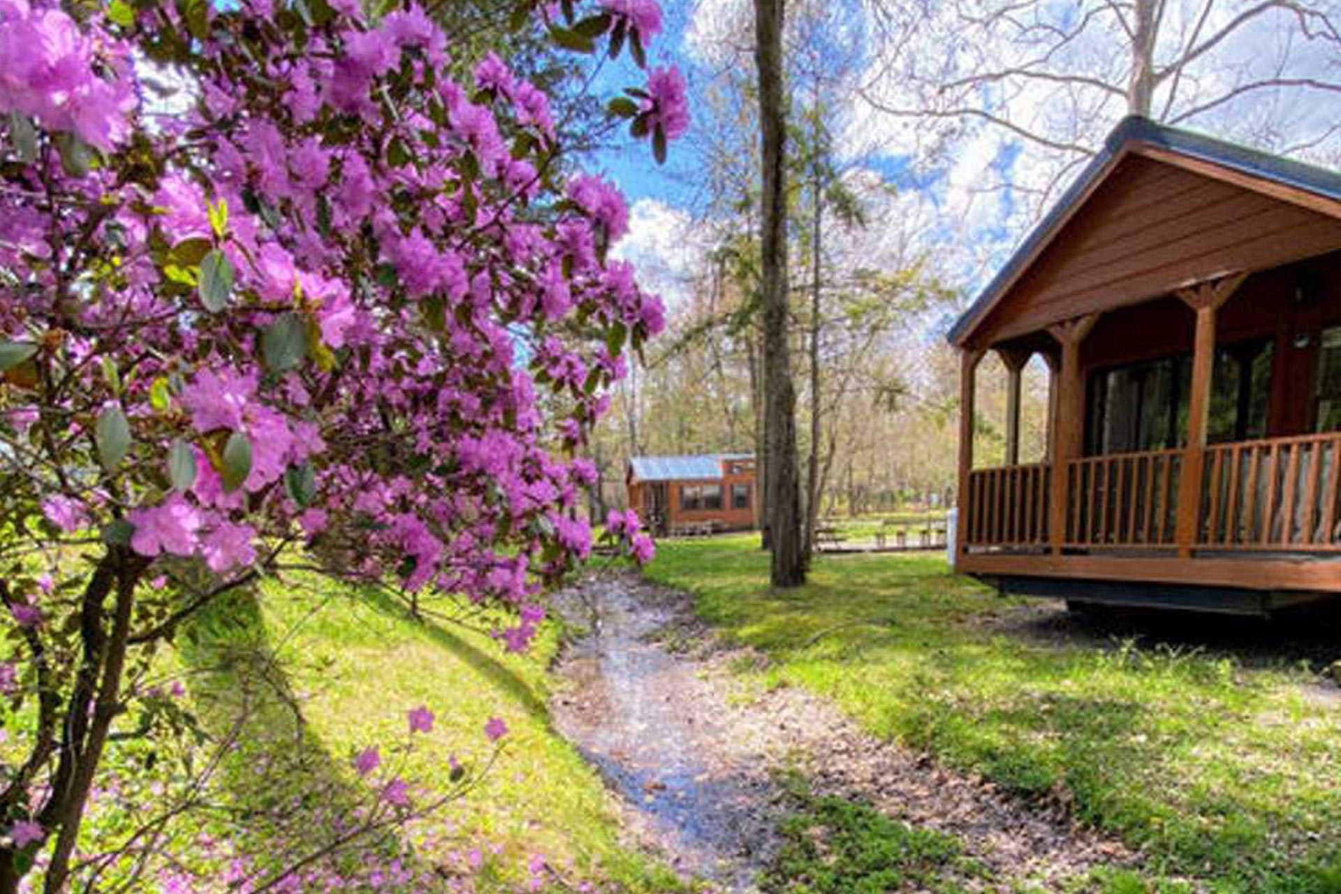 Top Cabins in Sterling Forest State Park, New York