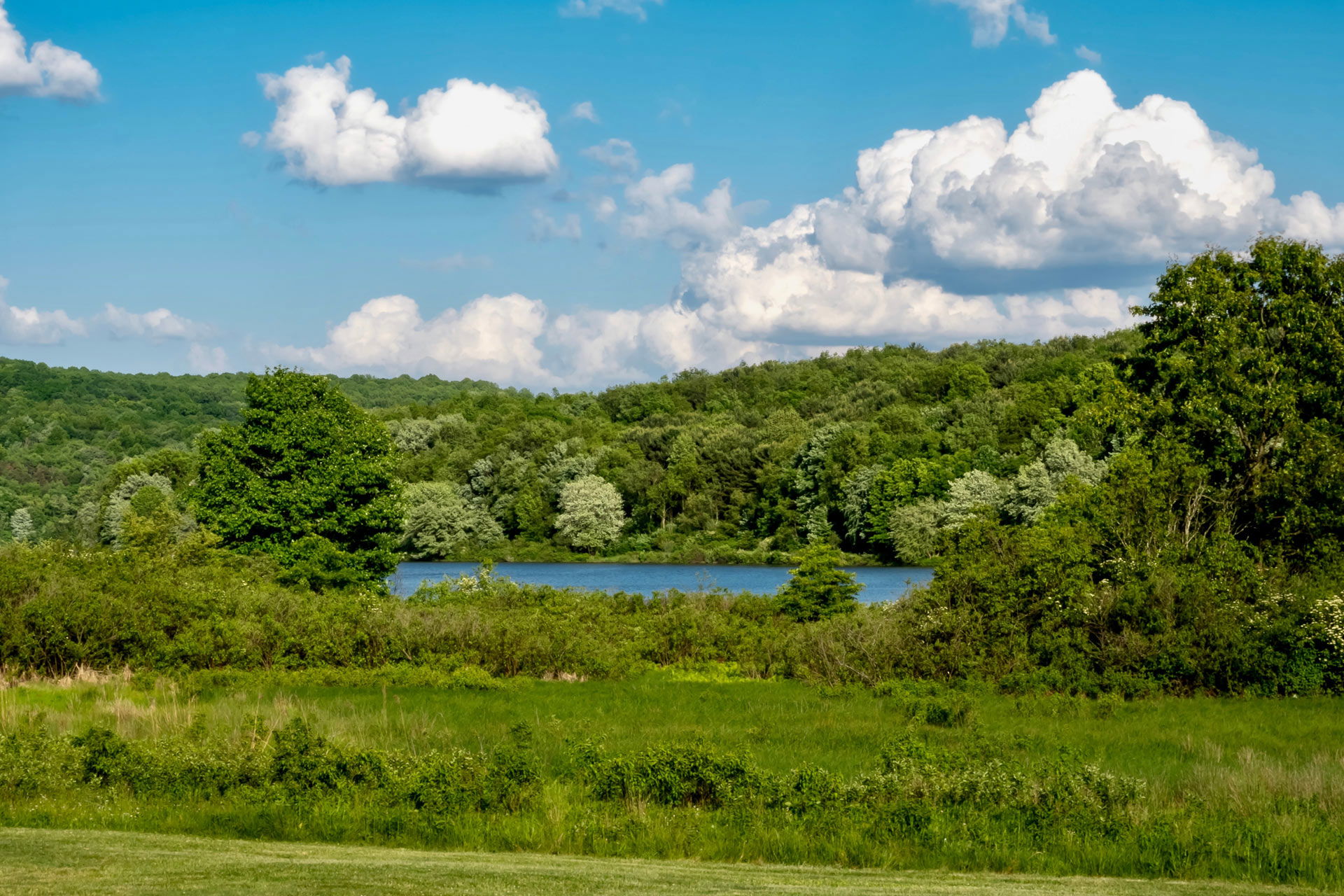 Moraine State Park