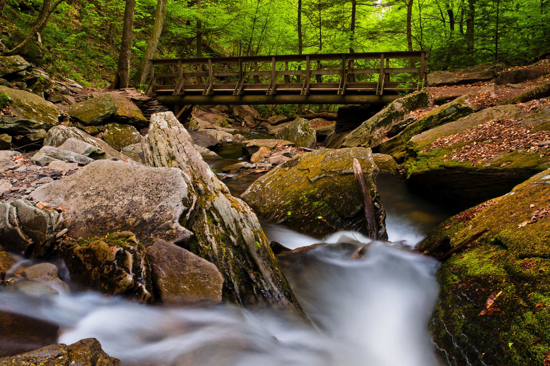 Ricketts Glen State Park