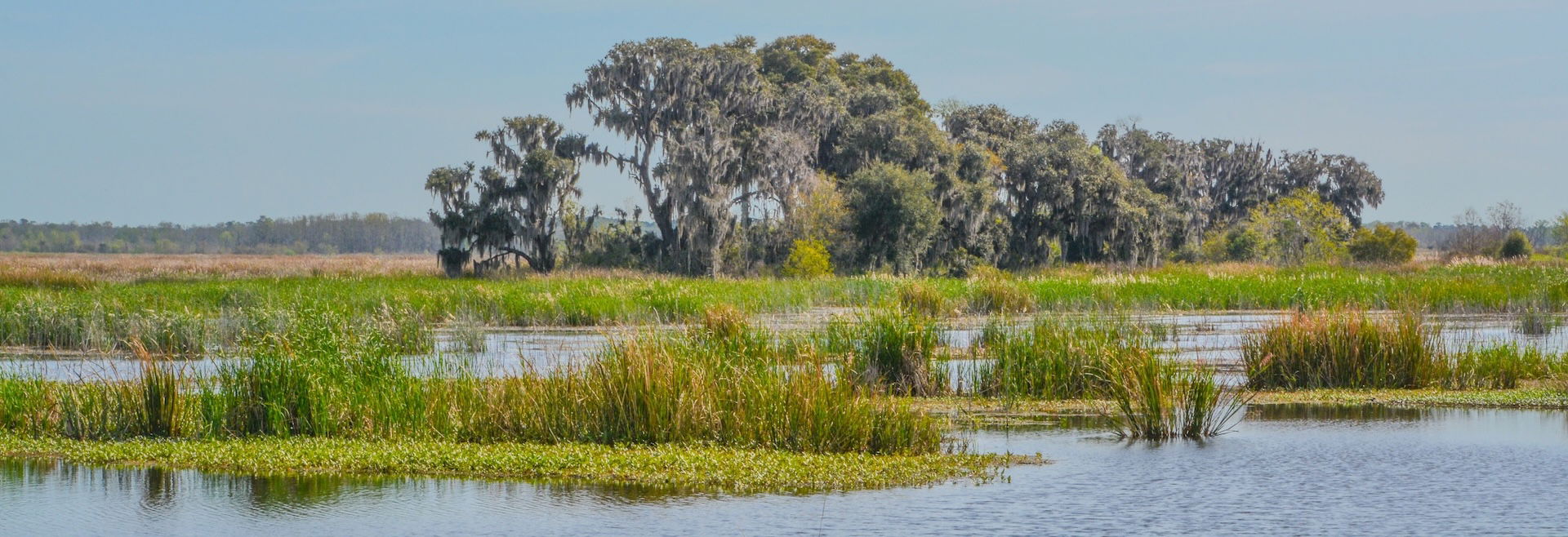 Top Campgrounds in Savannah National Wildlife Refuge, South Carolina