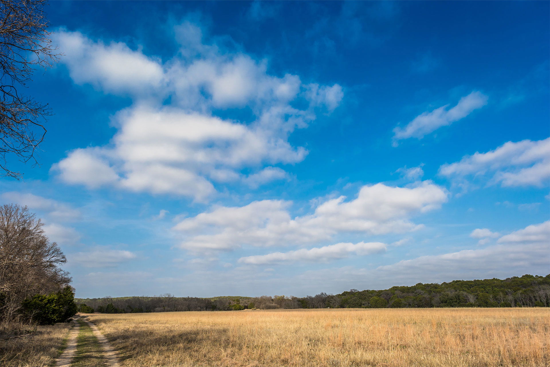 Top Campgrounds in Dinosaur Valley State Park, Texas