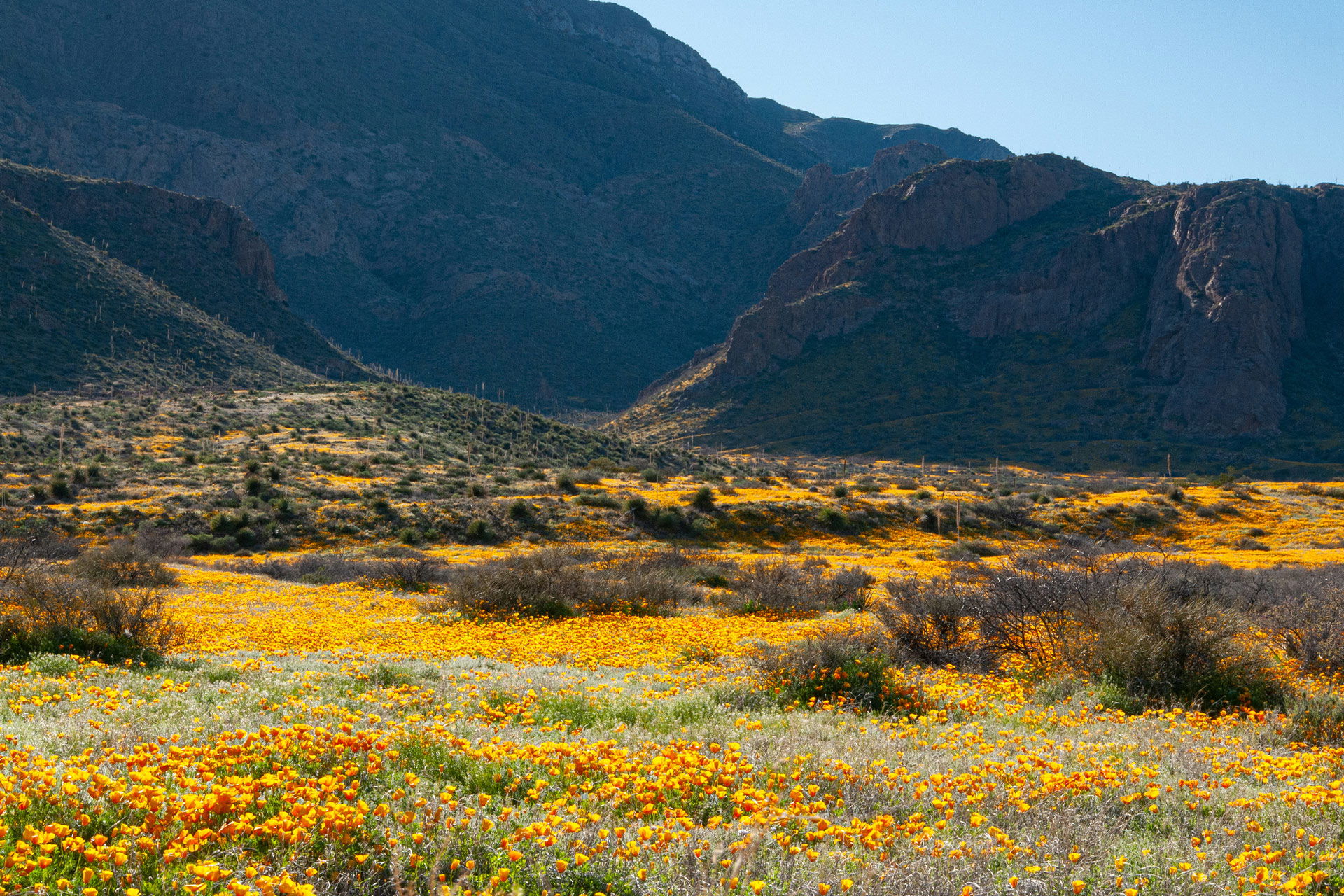 Camping in El Paso, TX: 10 Best Campgrounds in 2024 - Campspot