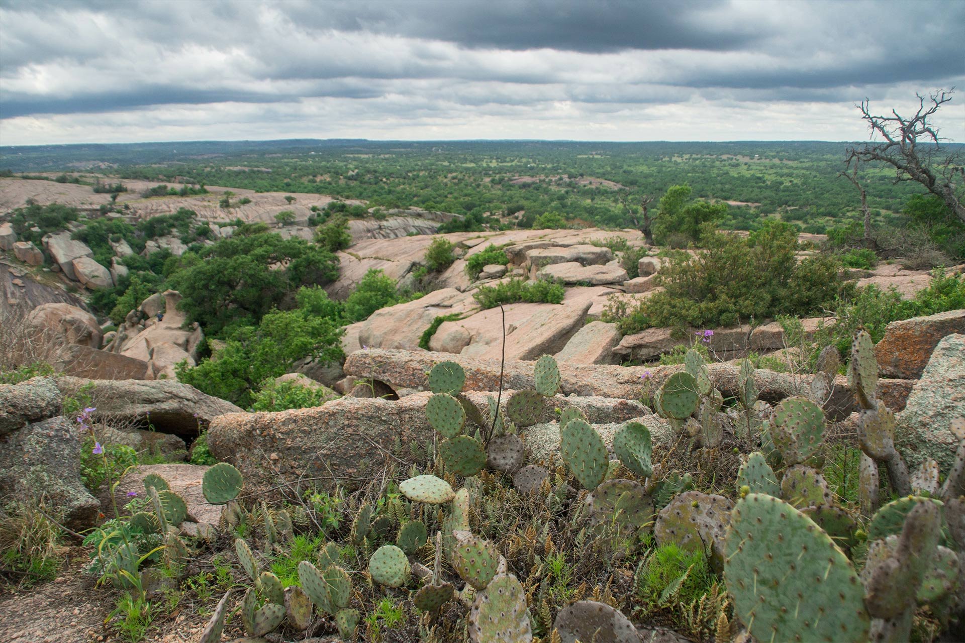 Top RV Parks in Enchanted Rock State Natural Area, Texas