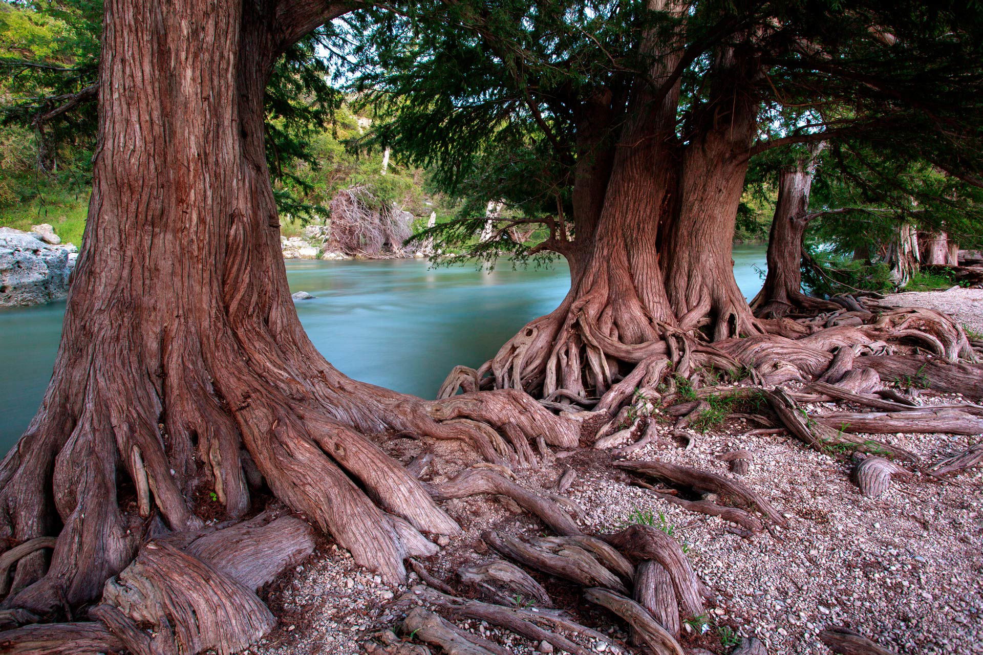 Guadalupe River State Park