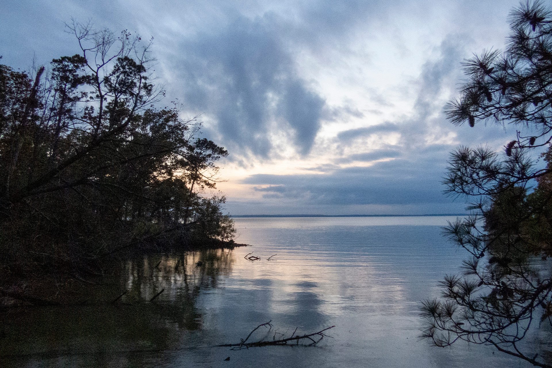 Top RV Parks in Lake Livingston State Park, Texas