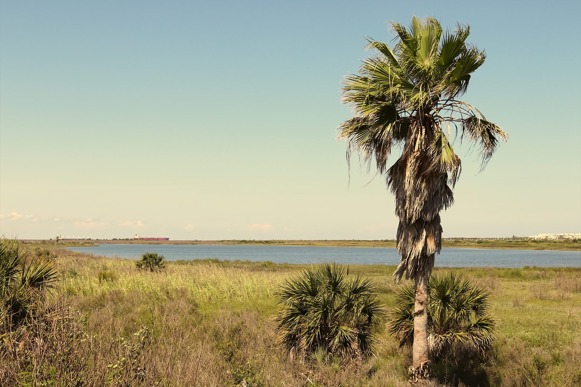 Top RV Parks in Sea Rim State Park, Texas