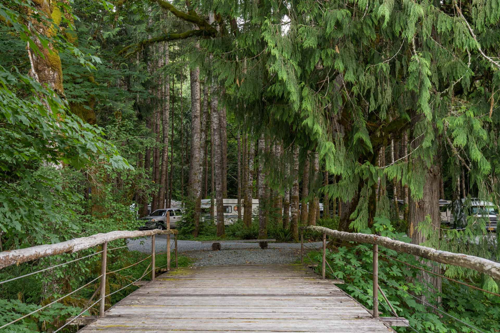 Top Campgrounds in Gig Harbor, Washington