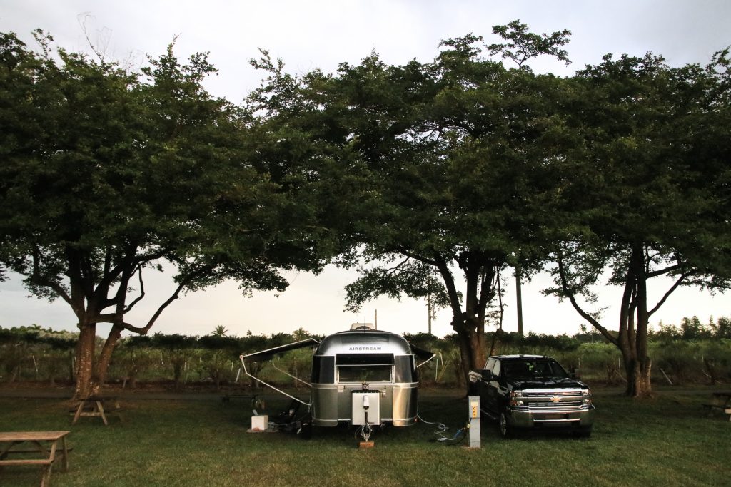 An Airstream trailer sits under a series of trees with a black pickup truck parked next to it.