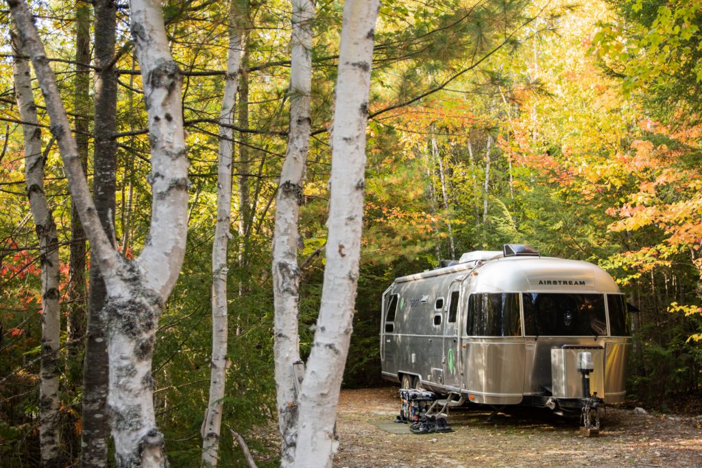 Birch trees and fall foliage surrounding a parked Airstream trailer at Wildfox Cabins and Campground in Lakeville, Maine.