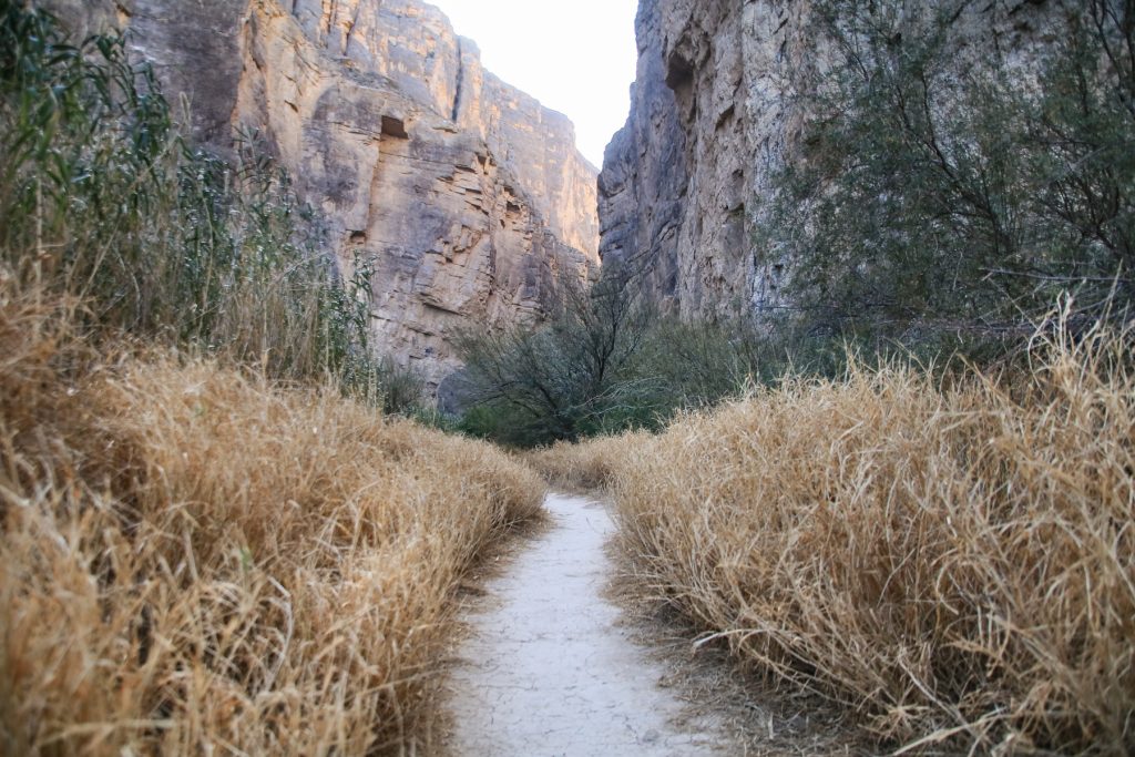 A path going through a patch of dry grass and through a canyon at Big Bend National Park in Texas.