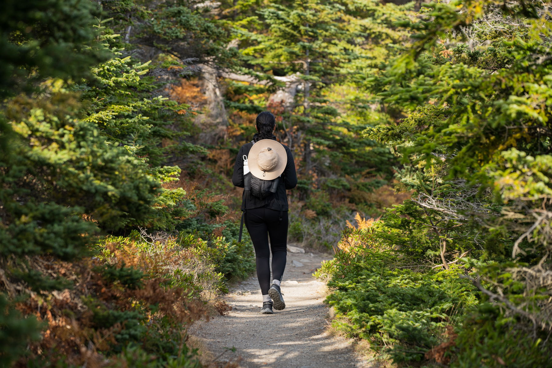 Go Outside On World Mental Health Day