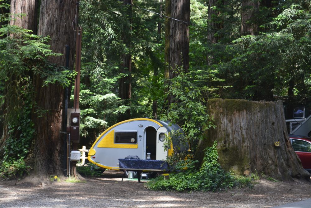 Tiny camper situated between breathtaking redwood trees at Santa Cruz Redwoods RV Resort.