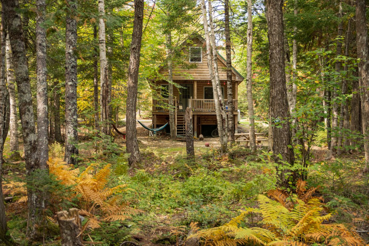 Cabin tucked away with a wooded landscape with hammocks and lush greens and yellows.