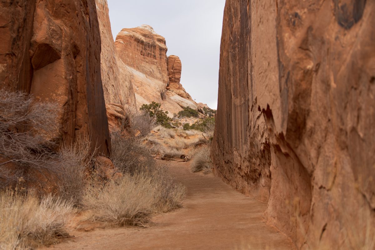 You immediately walk through a fin when hiking the Devils Garden Trail in Arches National Park in Moab, Utah.