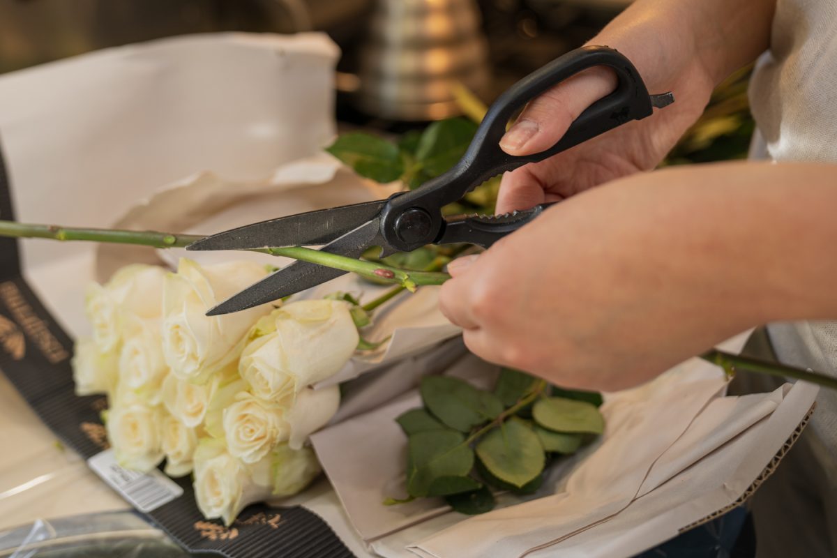 Using scissors, a woman cuts the rose stem at a 45-degree angle. 