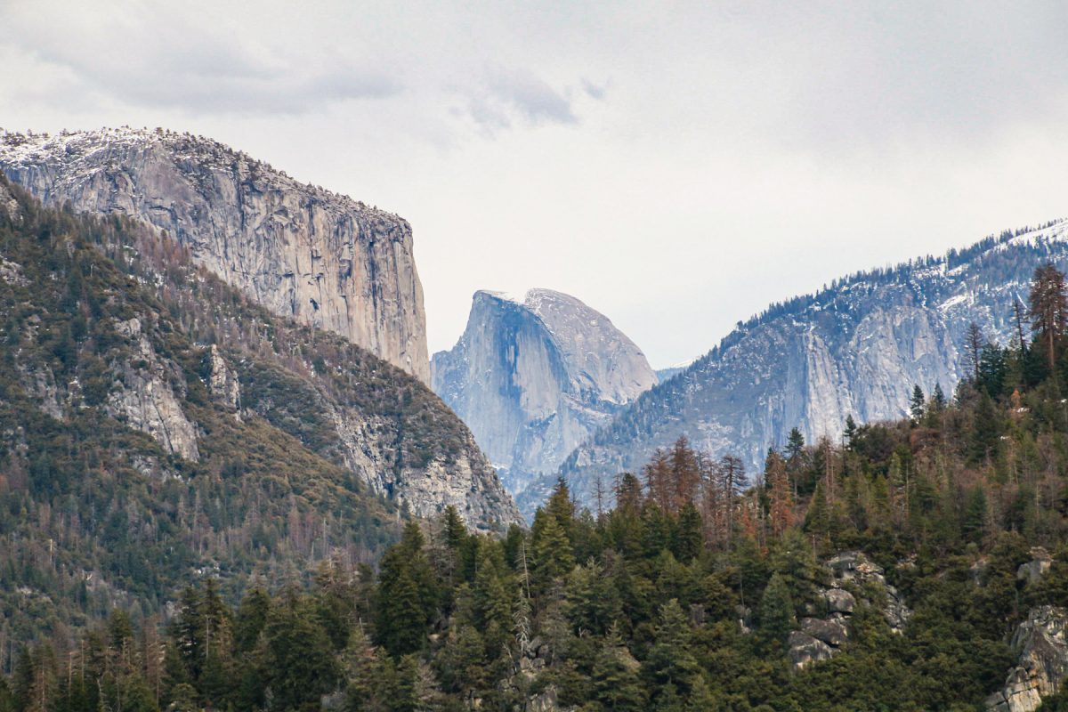 An epic lookout of El Capitan and the Half Dome at Yosemite National Park in California.