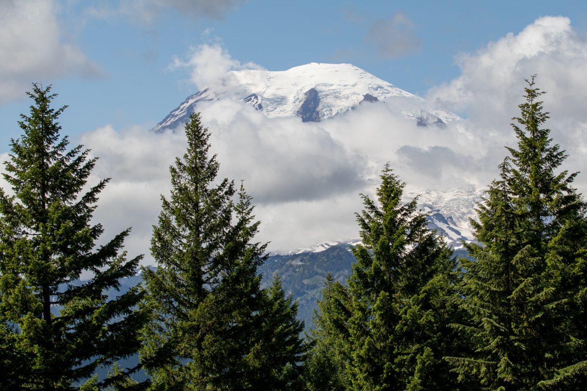 The peek of Mount Rainier poking through tall pine trees at Mount Rainier National Park in Washington. 